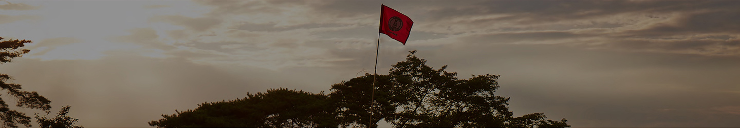 使用グリーン予定表