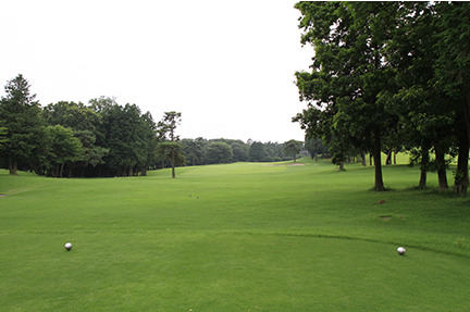 ティーグランドの画像