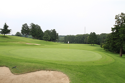 グリーンの画像