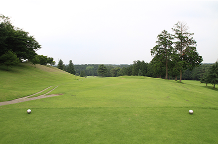 ティーグランドの画像