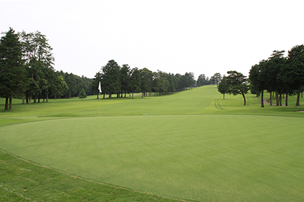 グリーンの画像