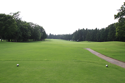 ティーグランドの画像