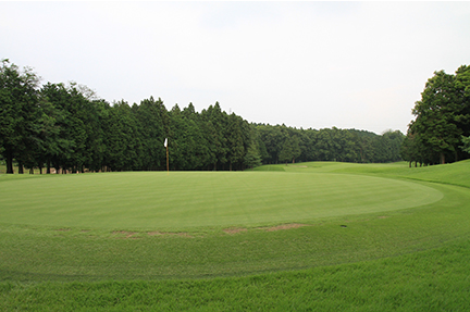 グリーンの画像