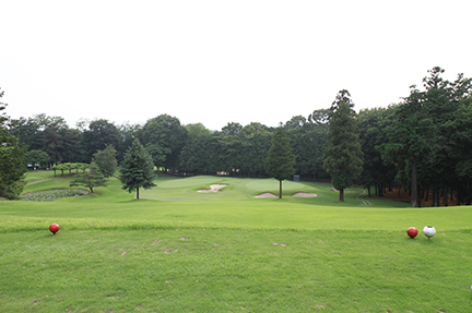 ティーグランドの画像