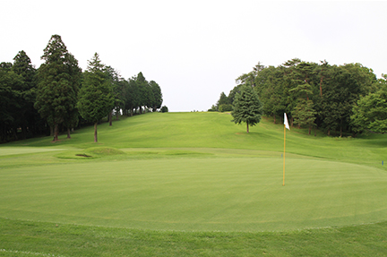 グリーンの画像