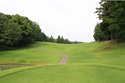 ティーグランドの画像