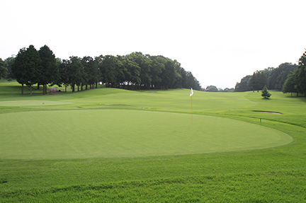 グリーンの画像