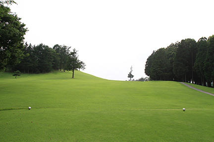 ティーグランドの画像