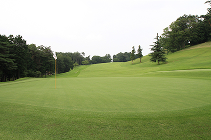 グリーンの画像