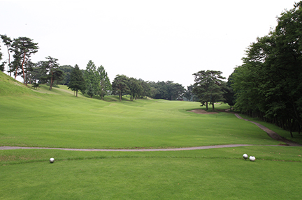 ティーグランドの画像