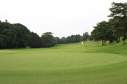 グリーンの画像