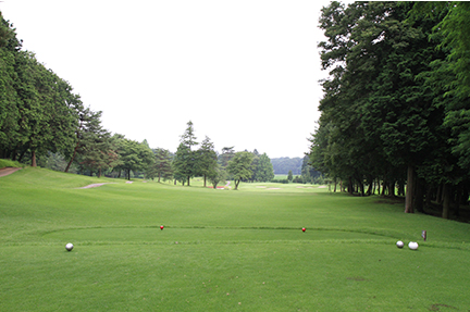 ティーグランドの画像