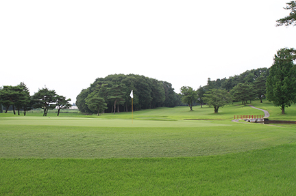 グリーンの画像