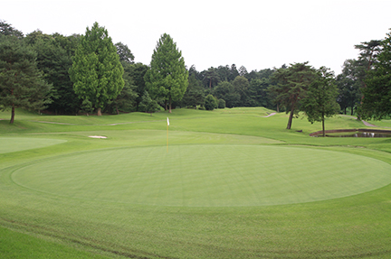 グリーンの画像