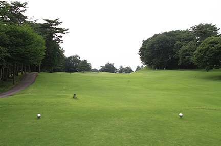 ティーグランドの画像