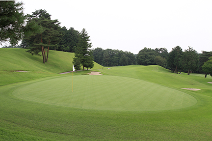 グリーンの画像