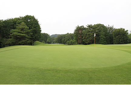 グリーンの画像