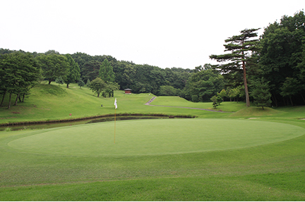 グリーンの画像