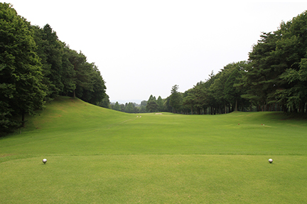 ティーグランドの画像