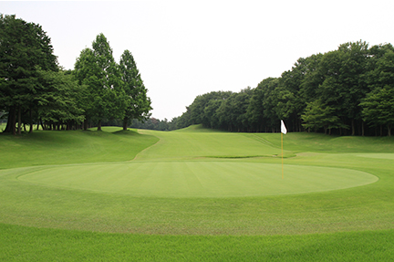 グリーンの画像