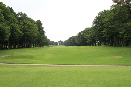 ティーグランドの画像