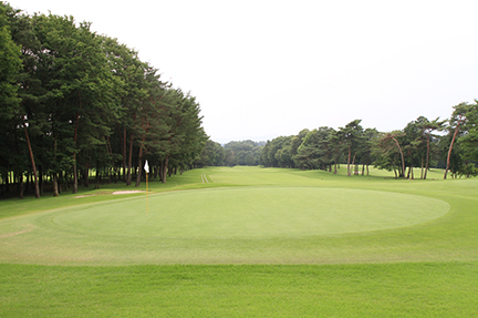 グリーンの画像