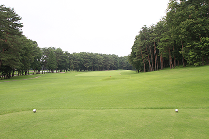 ティーグランドの画像