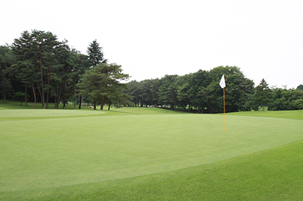 グリーンの画像