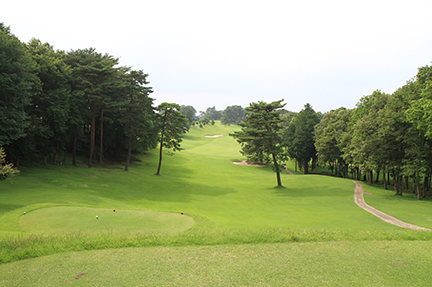 ティーグランドの画像