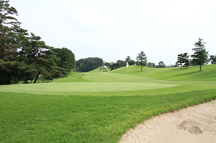 グリーンの画像