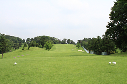 ティーグランドの画像