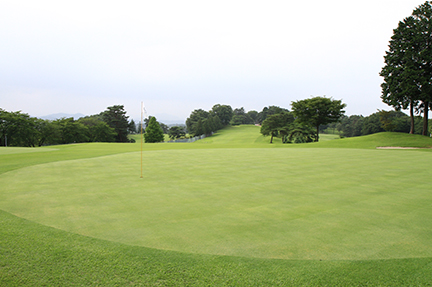 グリーンの画像