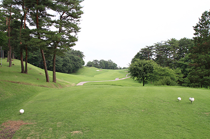 ティーグランドの画像