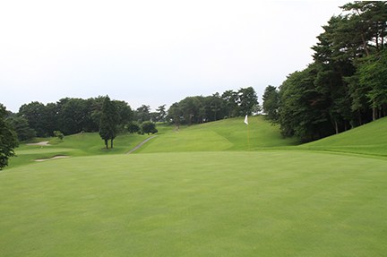 グリーンの画像