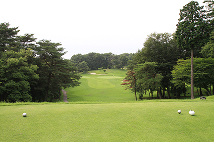 ティーグランドの画像