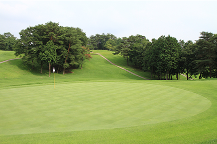 グリーンの画像