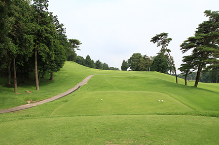 ティーグランドの画像