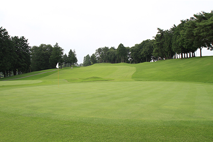 グリーンの画像