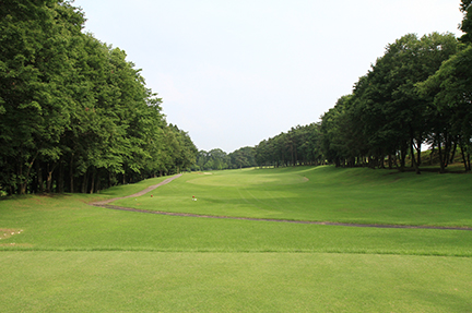 ティーグランドの画像