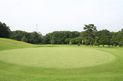 グリーンの画像