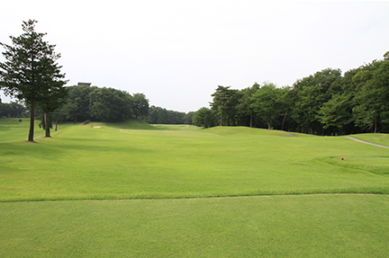 ティーグランドの画像