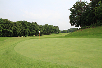 グリーンの画像