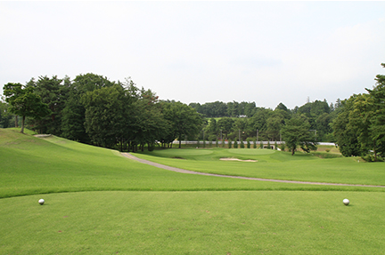 ティーグランドの画像