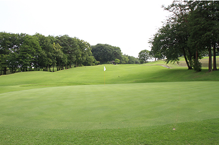 グリーンの画像