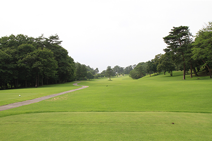 ティーグランドの画像