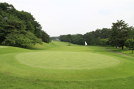 グリーンの画像