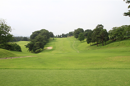 ティーグランドの画像