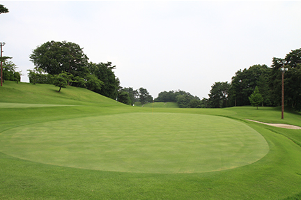 グリーンの画像